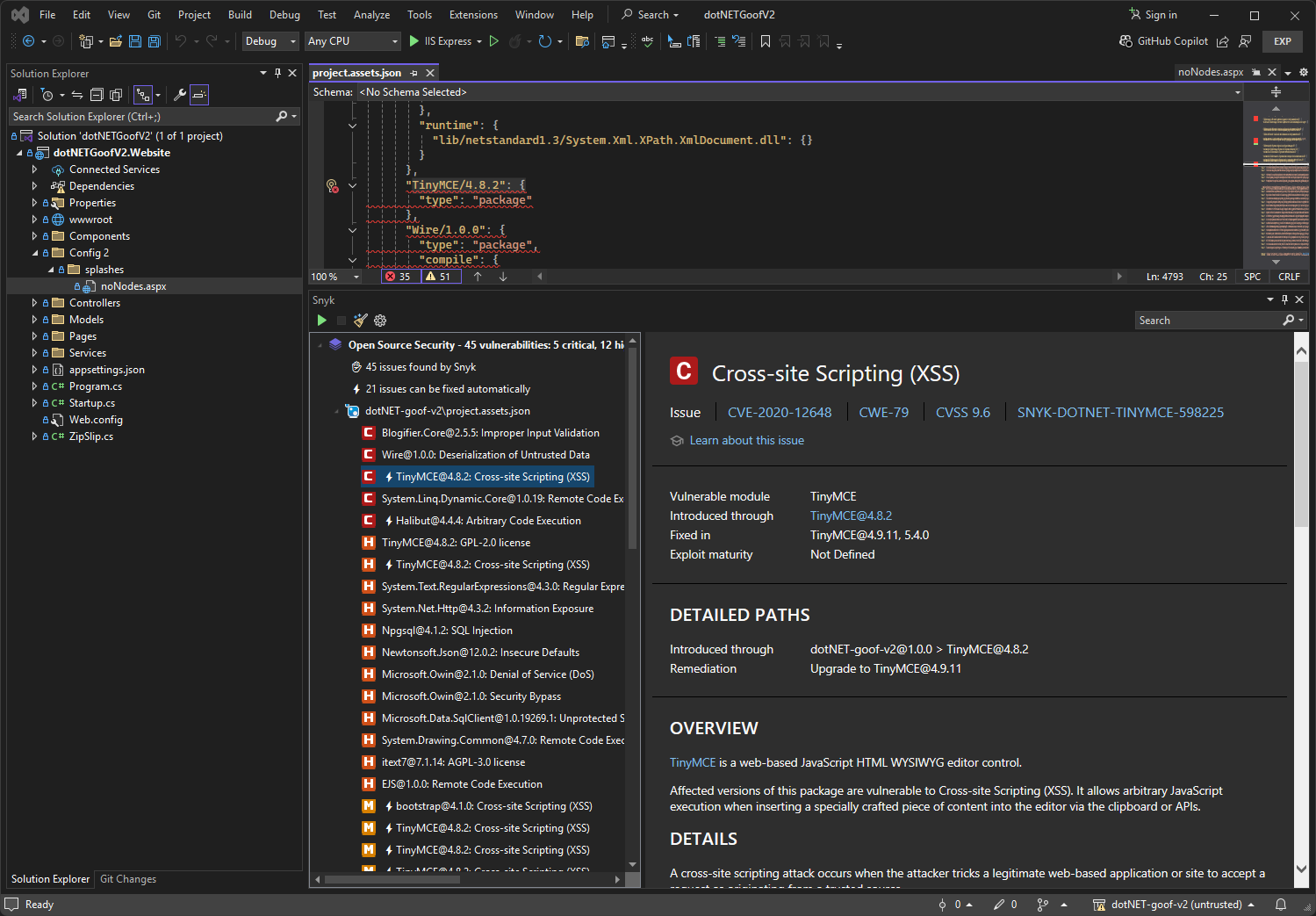 Open Source vulnerabilities