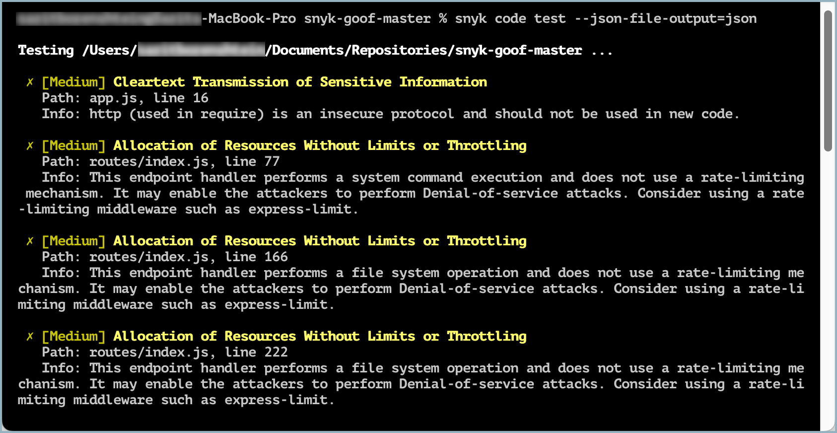 snyk code test results in the terminal