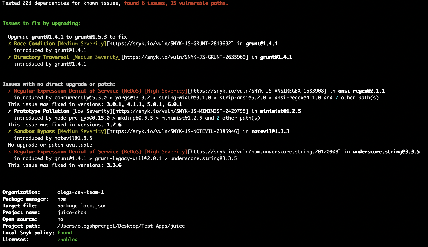 Snyk Open Source CLI test results.