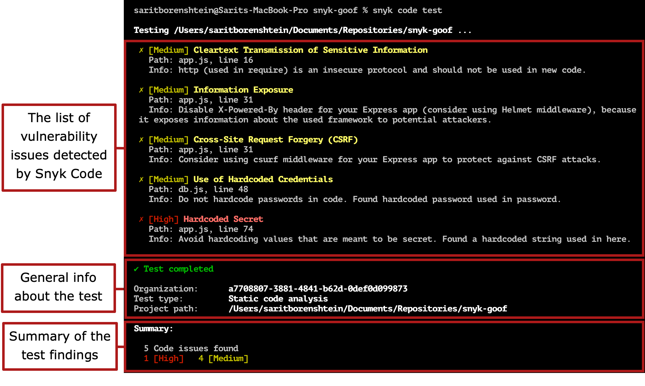 Snyk Code test restuls from the CLI